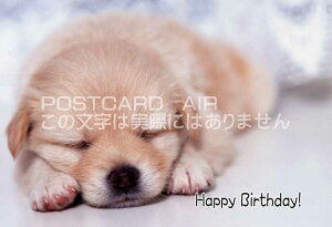 ya|XgJ[hzuHappy Birthday vq̃nKL͂Gt