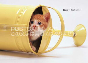 ya|XgJ[hzuHappy Birthday vqL eL̃nKL͂Gt