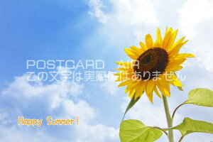 yĂ̌|XgJ[hzuHappy Summer vЂ܂̃nKL͂Gt