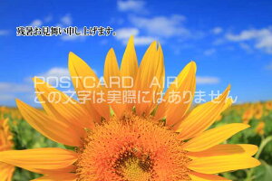 yĂ̎c|XgJ[hzuc\グ܂Bvւ̌Ђ܂̗t ͂nKL