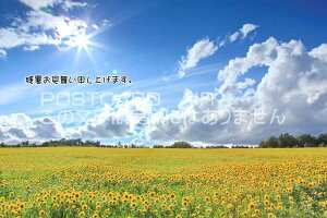 yĂ̎c|XgJ[hzuc\グ܂Bvq}Ђ܂̗t ͂nKL