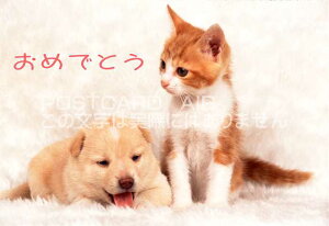 y߂łƂ̃|XgJ[hzu߂łƂvqƎqL ƔL̐Ԃ̃nKLt