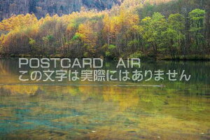 쌧 {s ㍂n@HFɐ܂吳r̃|XgJ[ht͂@Photo@byi.com