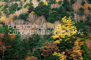 㒷쌧 {s ㍂n@n̏H̃|XgJ[ht͂@Photo@byi.com