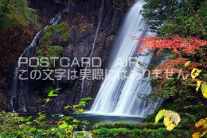 �啪�� �|�c�s �z�ڌk�J�@�����_���@�啪�� �|�c�s �z�ڌk�J�@�����̑�