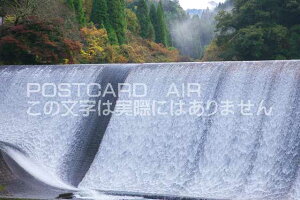 �啪�� �|�c�s �����_���̃|�X�g�J�[�h�t���͂����@Photo�@by��i.com