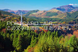 �啪�� ���S��d���@��d����݋��̃|�X�g�J�[�h�t���͂����@Photo�@by��i.com