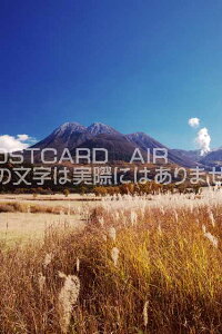 �啪�� �R�z�s�@���S��d�� ���Ҍ��̃|�X�g�J�[�h�t���͂����@Photo�@by��i.com