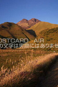 啪 Rzs@H̗Rzx̃|XgJ[ht͂@Photo@byi.com