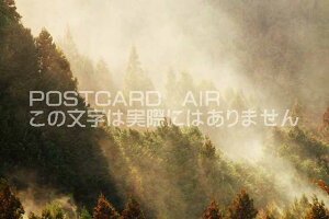 ޗǌ gSs@XMԕ̃|XgJ[ht͂@Photo@byi.com