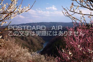 ޗǌ ޗǎs@~т̃|XgJ[ht͂@Photo@byi.com