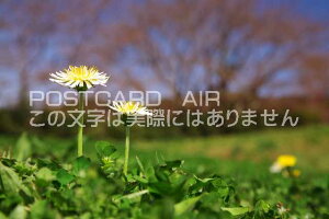 ޗǌ ^||̃|XgJ[ht͂@Photo@byi.com