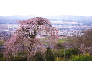 s{ ԊS蒬@nT@̃|XgJ[ht͂@Photo@byi.com