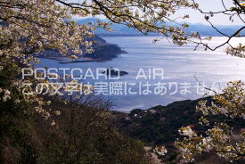 和歌山県 日高郡美浜町 日の岬　日の岬の桜のポストカード葉書はがき　Photo　by絶景.com