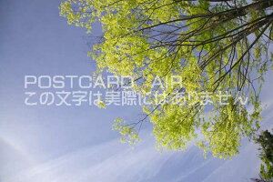 s{ ySؒ@ƐV΂̃|XgJ[ht͂@Photo@byi.com