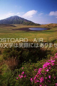 F{ 숢h痢l̃|XgJ[ht͂@Photo@byi.com