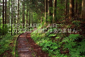 s{ OsR@̐X̃|XgJ[ht͂@Photo@byi.com