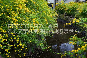 s{ @}uL炭Ђ̃|XgJ[ht͂@Photo@byi.com