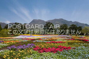 啪 |cs@イԌ̃|XgJ[ht͂@Photo@byi.com