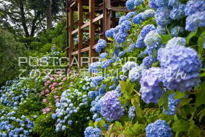 s{ ss@P̃AWTC̃|XgJ[ht͂@Photo@byi.com