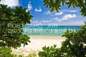 ꌧ {Ós@؉A猩r[`̃|XgJ[ht͂@Photo@byi.com