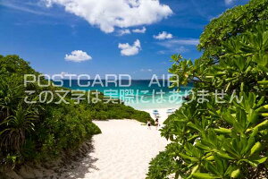 ꌧ {Ós@C݂ւƑ̃|XgJ[ht͂@Photo@byi.com