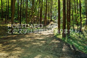 �ޗǌ� ��a�S�R�s�@�ؘR����̐X�̃|�X�g�J�[�h�t���͂����@Photo�@by��i.com