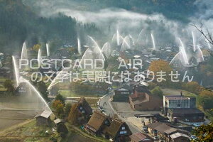 򕌌 S쑺@H̔싽ĕ̃|XgJ[ht͂@Photo@byi.com