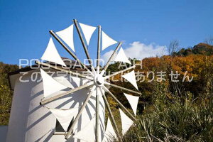 R ˓s@̃MVԂ̃|XgJ[ht͂@Photo@byi.com