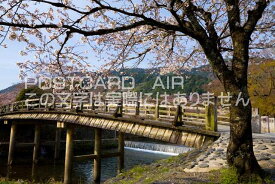 京都府 嵐山　春の嵐山渡月橋のポストカード葉書はがき　Photo　by絶景.com