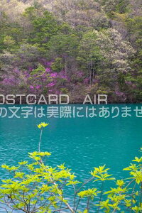 R Os@ӂ̐V΂̃|XgJ[ht͂@Photo@byi.com