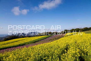 Ɍ WHs@킶Ԃ̃|XgJ[ht͂@Photo@byi.com