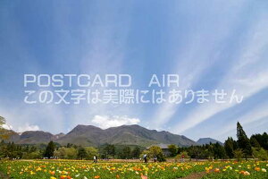 y|XgJ[hAIRiz啪 |cs イԌ̃|XgJ[ht͂@Photo@byi.com