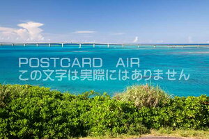 y|XgJ[hAIRĕizꌧ {Ós猩rԑ勴̃|XgJ[ht͂nKL@Photo@byi.com