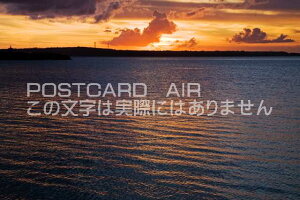 y|XgJ[hAIRĕizꌧ {ÓspCiK}r[`̗[z̃|XgJ[ht͂nKL@Photo@byi.com