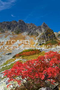 y{̕i|XgJ[hAIRz쌧 {s 򟿑̍gt ̃|XgJ[ht͂nKL@Photo@byi.com