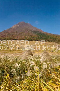 �y���{�̕��i�|�X�g�J�[�h��AIR�z�啪�� �ʕ{�s�X�X�L�̗h���H�̗R�z�x�̃|�X�g�J�[�h�t���͂����n�K�L�@Photo�@by��i.com