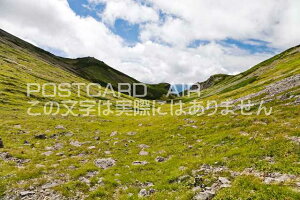 y{̕i|XgJ[hAIRz쌧 k܌SnkAvX̑̃|XgJ[ht͂nKL@Photo@byi.com