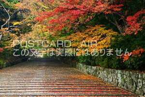 y{̕i|XgJ[hAIRzs{ s̍gt̃|XgJ[ht͂nKL@Photo@byi.com