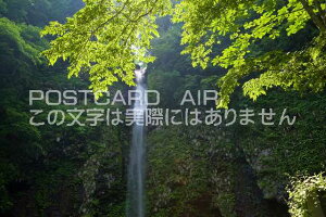 y{̕i|XgJ[hAIRz򕌌 SsɃƐV΂̃|XgJ[ht͂nKL@Photo@byi.com