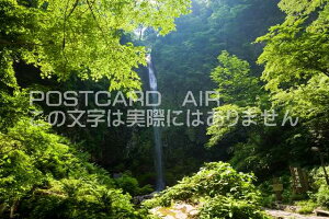 y{̕i|XgJ[hAIRz򕌌 SsV΂̈Ƀ̃|XgJ[ht͂nKL@Photo@byi.com