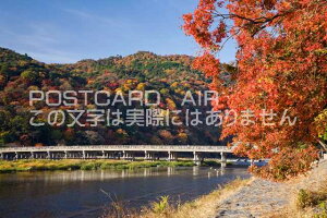 y{̕i|XgJ[hAIRzs{ RsR̍gt̃|XgJ[ht͂nKL@Photo@byi.com