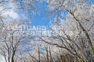 y{̕i|XgJ[hAIRzޗǌ gSg쑺~̐X̃|XgJ[ht͂nKL@Photo@byi.com