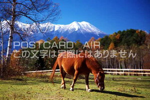 y{̕i|XgJ[hAIRz쌧 ؑ]n̗ؑ]ñ|XgJ[ht͂nKL@Photo@byi.com