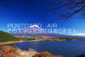 y{̕i|XgJ[hAIRzÉ xm{s@cь΂ƕxmR̃|XgJ[ht͂nKL@Photo@byi.com