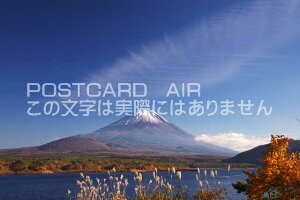 y{̕i|XgJ[hAIRzR 싐S g@xmRƖ{΂̃|XgJ[ht͂nKL@Photo@byi.com
