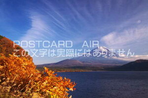 y{̕i|XgJ[hAIRzR sS xm͌ΒxmRƐi΂̃|XgJ[ht͂nKL@Photo@byi.com