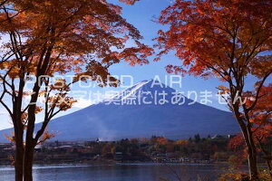 y{̕i|XgJ[hAIRzR sS xm͌ΒgtƕxmR̃|XgJ[ht͂nKL@Photo@byi.com