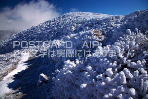 y{̕i|XgJ[hAIRz啪 Sd イ~iF̃|XgJ[ht͂nKL@Photo@byi.com