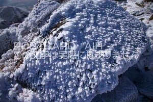 y{̕i|XgJ[hAIRz啪 |csGr̐K̃|XgJ[ht͂nKL@Photo@byi.com